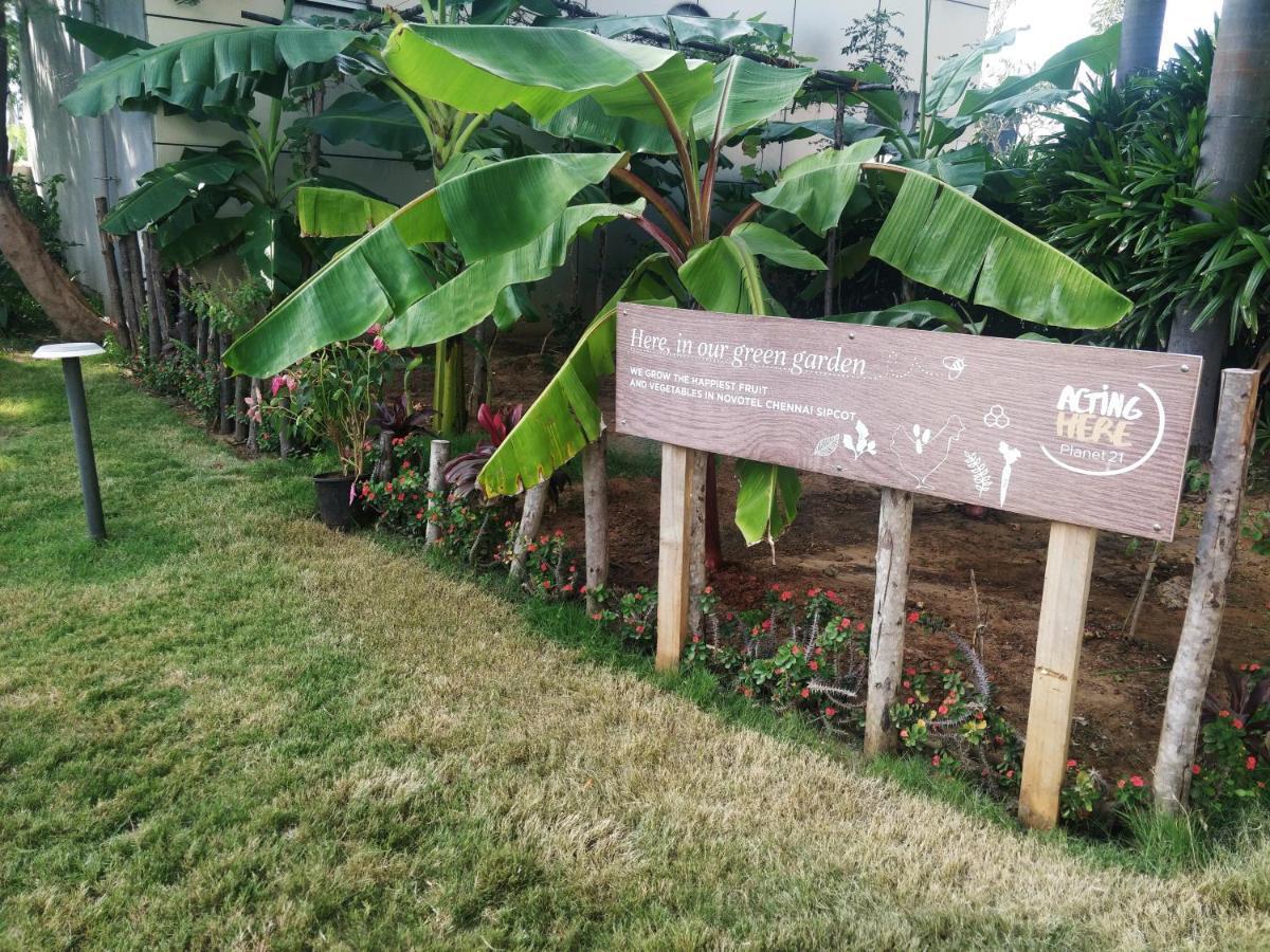 Novotel Chennai Sipcot Exterior foto The Edible Garden at the National Gallery Singapore